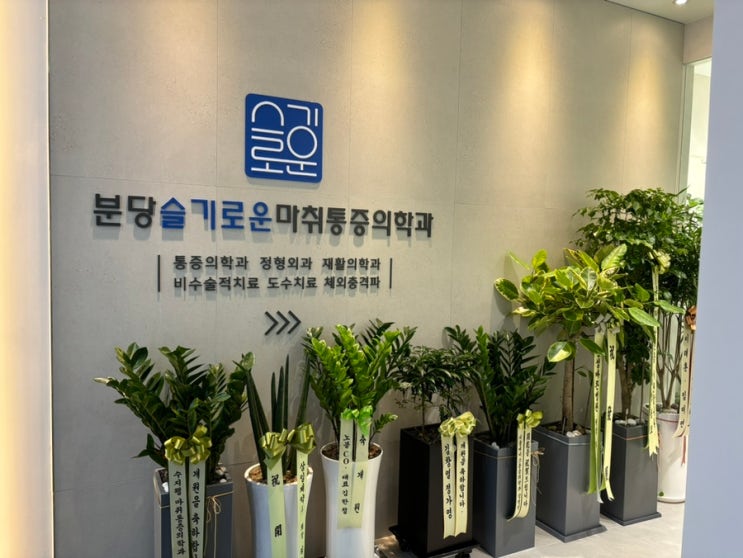  분당에서 정형외과 유목민 정착:: 분당슬기로운마취통증 의학과 진심으로 추천 내돈내산!!