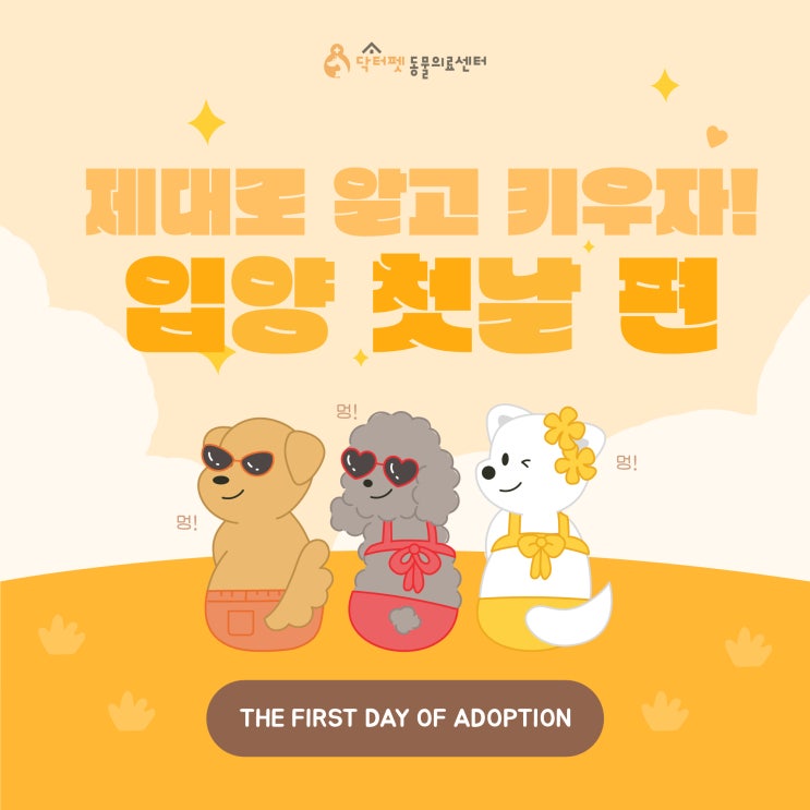  강아지 입양 첫날 "아무것도 하지 마세요"