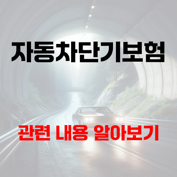  자동차단기보험 보장 비교해보면서 실속 챙겨보자