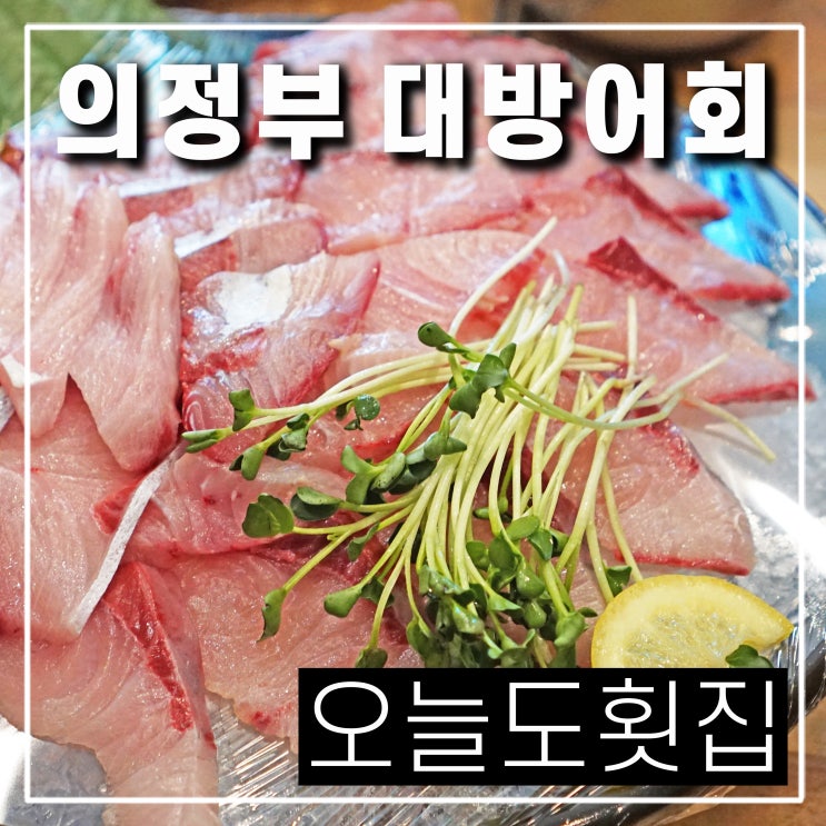  의정부 민락동 오늘도횟집 대방어회 맛집 매운탕 점심특선 초밥까지