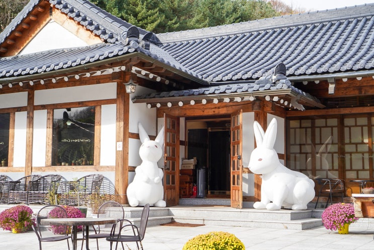  파주 초리골제빵소 힐링하기 좋은 한옥 베이커리 카페