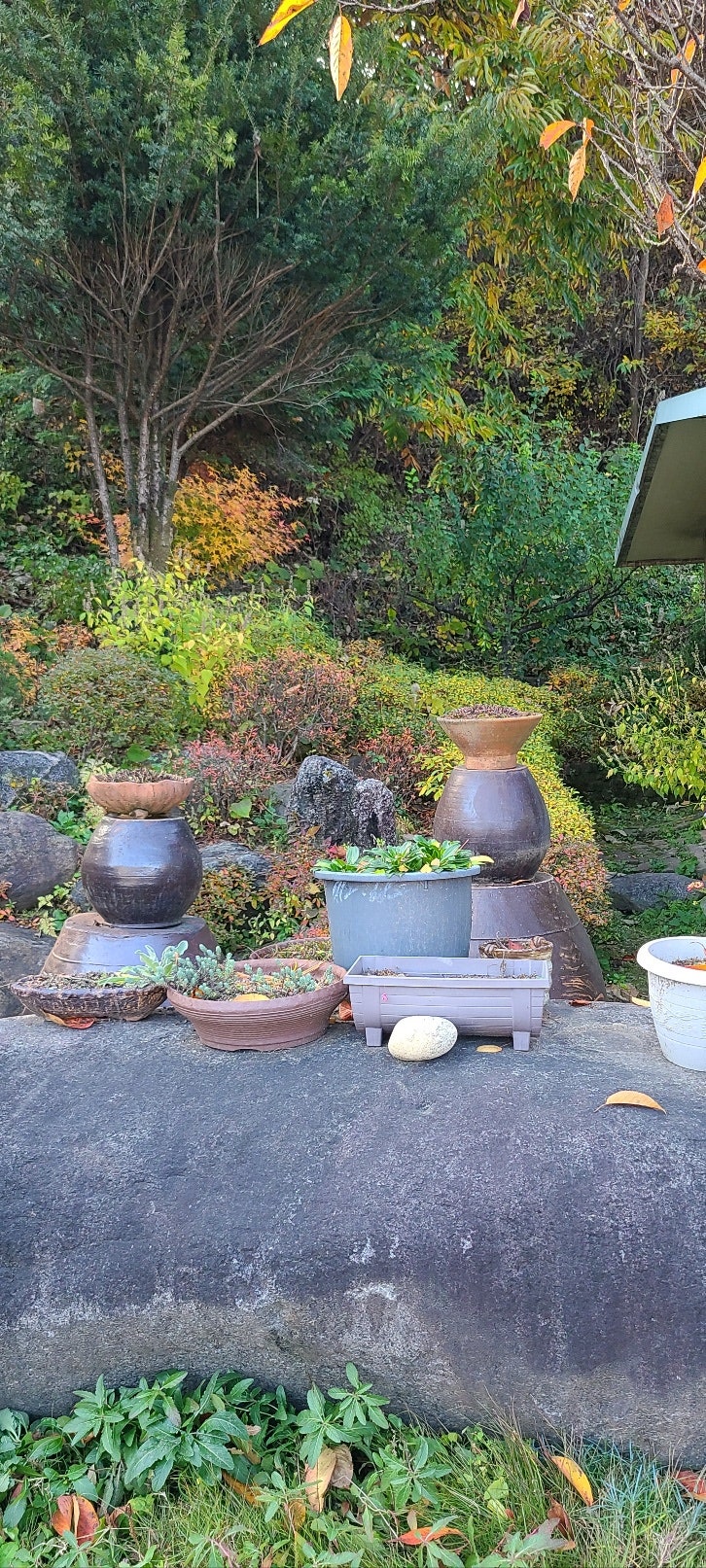 다래원 사진 1
