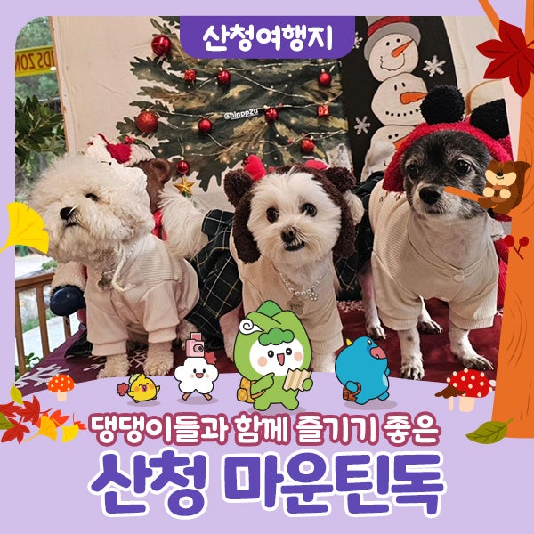 마운틴독