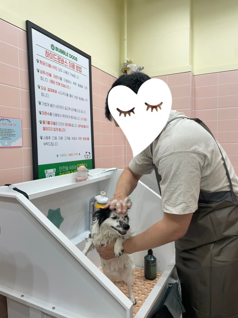 사진 7