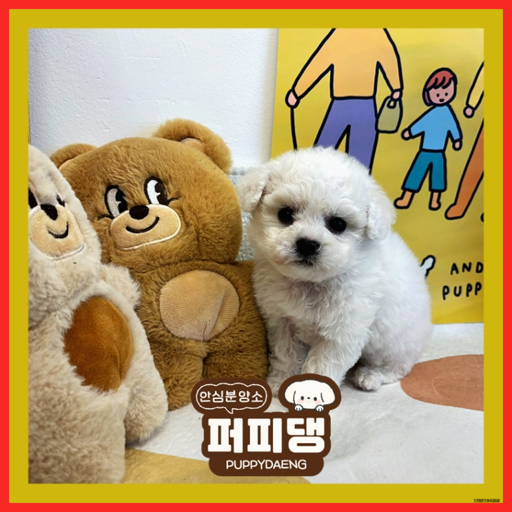  아산말티푸분양 선택했다면