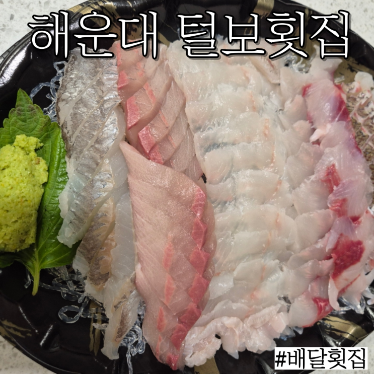  해운대 회포장: 푸짐하게 배달도 되는 “털보횟집”