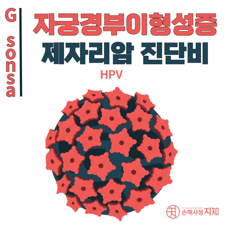  CIN3/HSIL 진단 (D06, N87.2), 암보험금 받을 수 있나요? - [엄마의 질병, 1부]