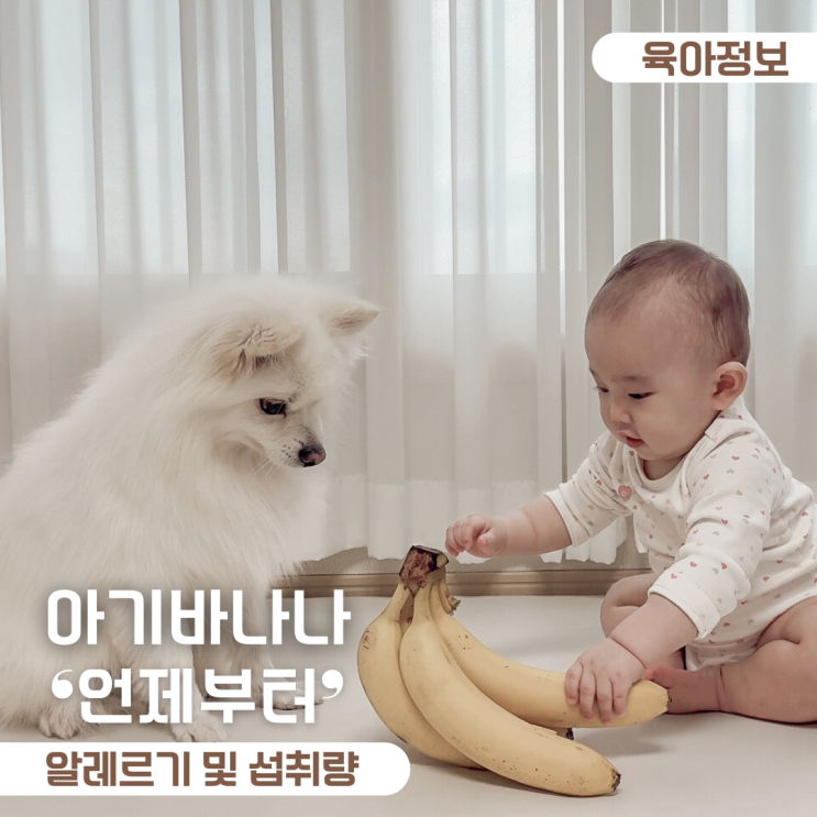  6개월 아기 바나나 언제부터 섭취량은 얼마나? 알레르기 확인 방법