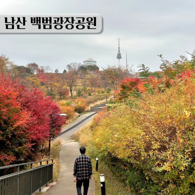  가을빛 가득한 서울 단풍여행 백범광장과 남산둘레길