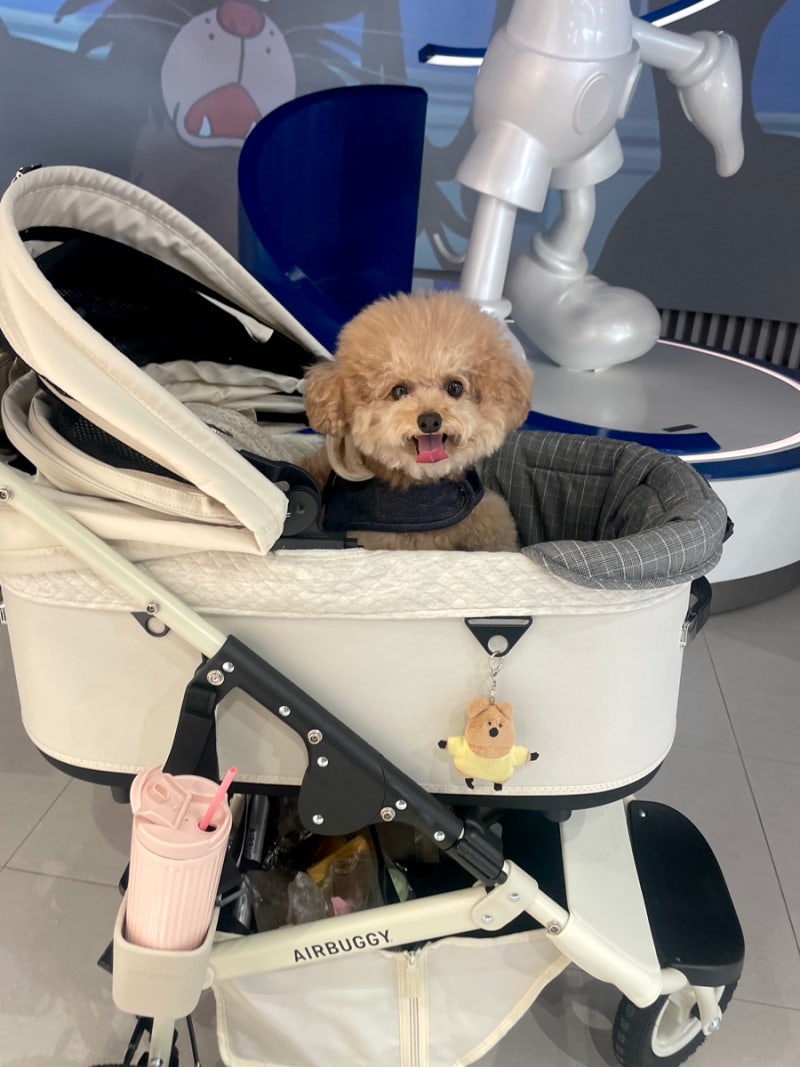 AIRBUGGY 에어버기 댕모차 개모차 돔3 프리미엄 아이보리 화이트L 일본 후쿠오카 직접 구매 후....