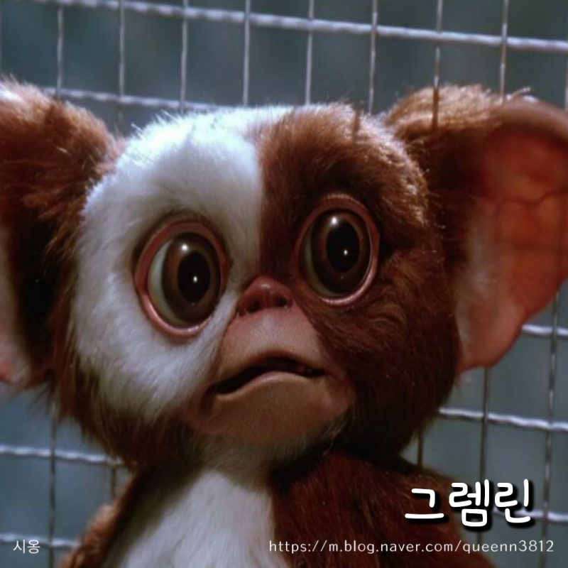 추억의 영화 그렘린 줄거리와 후기, 탄생 스토리