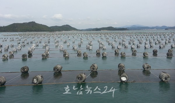  전남도, 김 수출액 사상 최초 3억달러 돌파