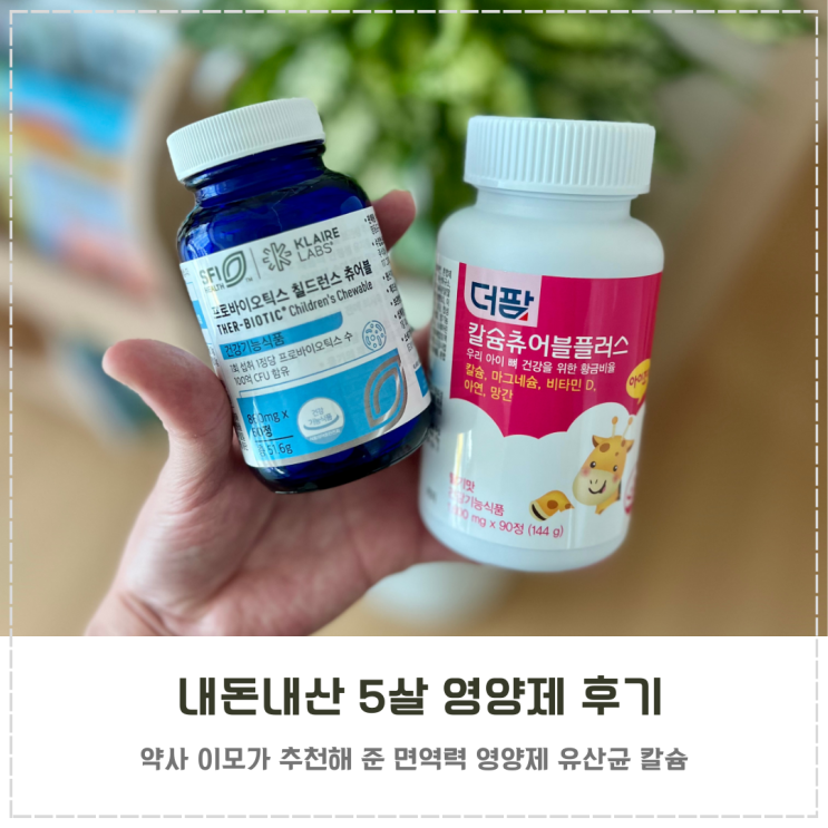  약사 이모가 추천해 준 내돈내산 5살 영양제