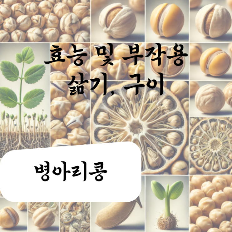  삶은 병아리콩 효능 및 부작용, 삶기, 구이?