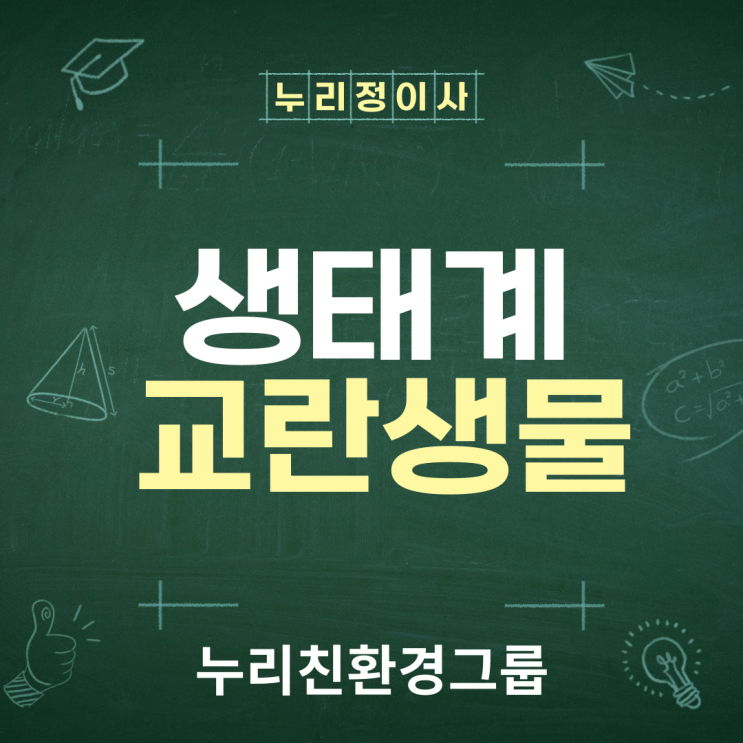  생태계 교란생물 지정고시(2024년 10월 31일)