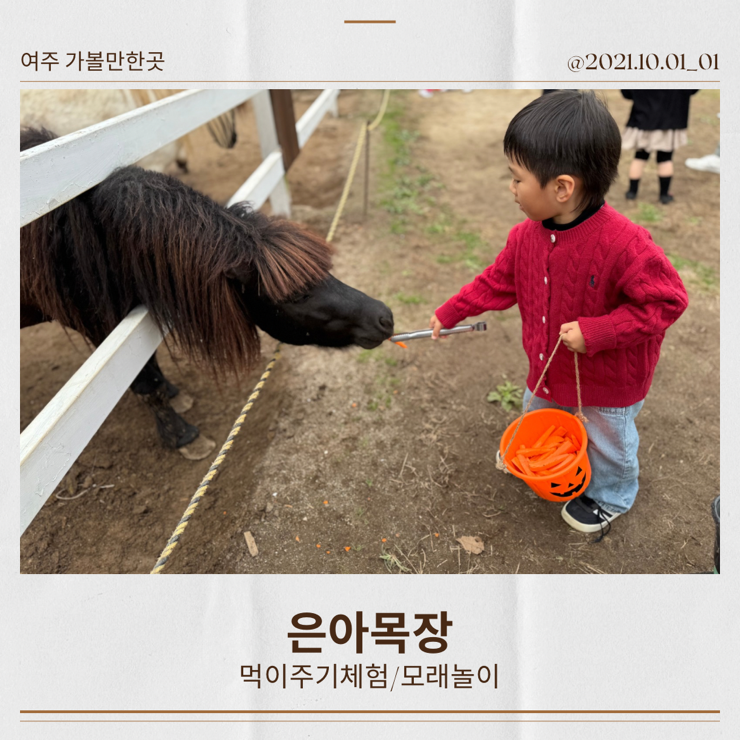  ㅣ여주ㅣ아이랑 가볼만한 곳 입장료없는 은아목장