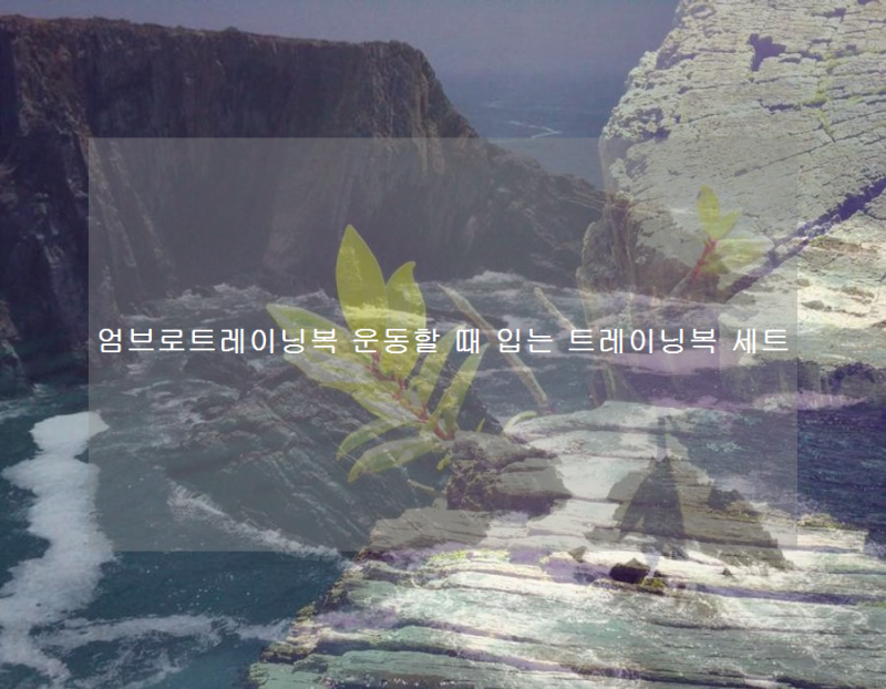 엄브로트레이닝복 운동할 때 입는 트레이닝복 세트