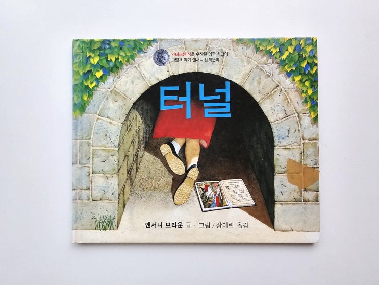  터널 : 앤서니브라운의  형제자매를 위한 판타지 그림책