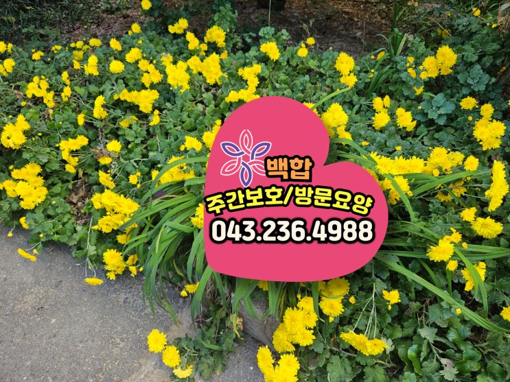  청주주간보호센터, 청주시 흥덕구 주간보호 센터 : 입동과 함께 찾아온 어르신들의 행복한 일상