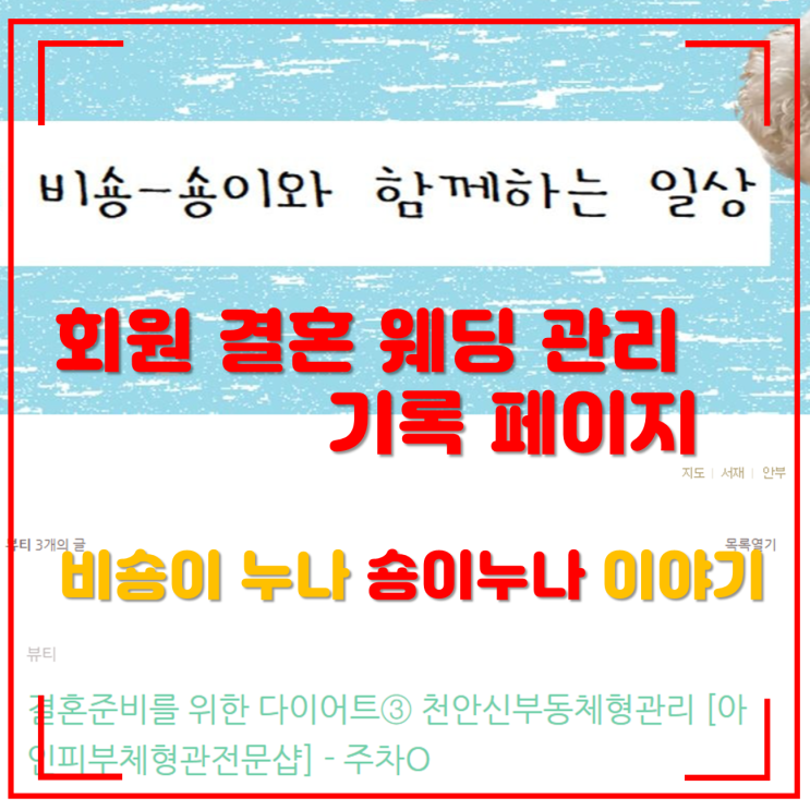  천안 신부동피부관리 마사지 비숑누나 결혼준비 복부관리 부종관리 진행중