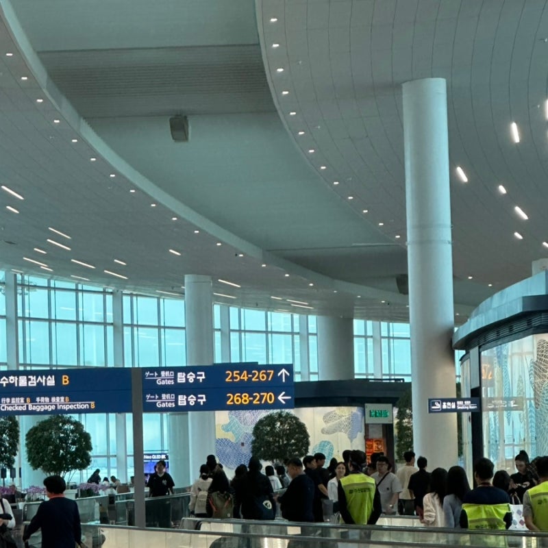태국 방콕 유심 뭐하지_도시락 유심, 방콕 유심, 공항 수령과 수령 위치/제1여객터미널