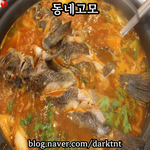 제주시 외도일동 우럭 매운탕 맛집 제주공항 근처 동네고모