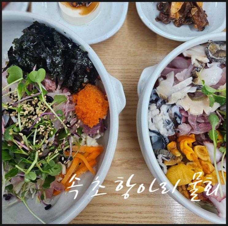  속초 현지인추천 속초 항아리 물회 속초중앙재래시장 근처 맛집