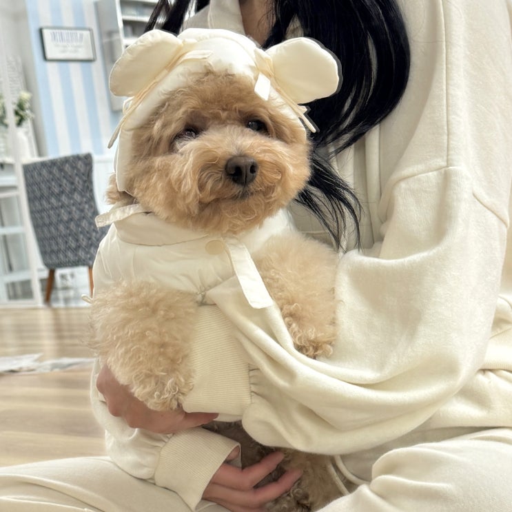 강아지의 따뜻한 겨울 패딩 -리니몽 발레 퍼프 패딩