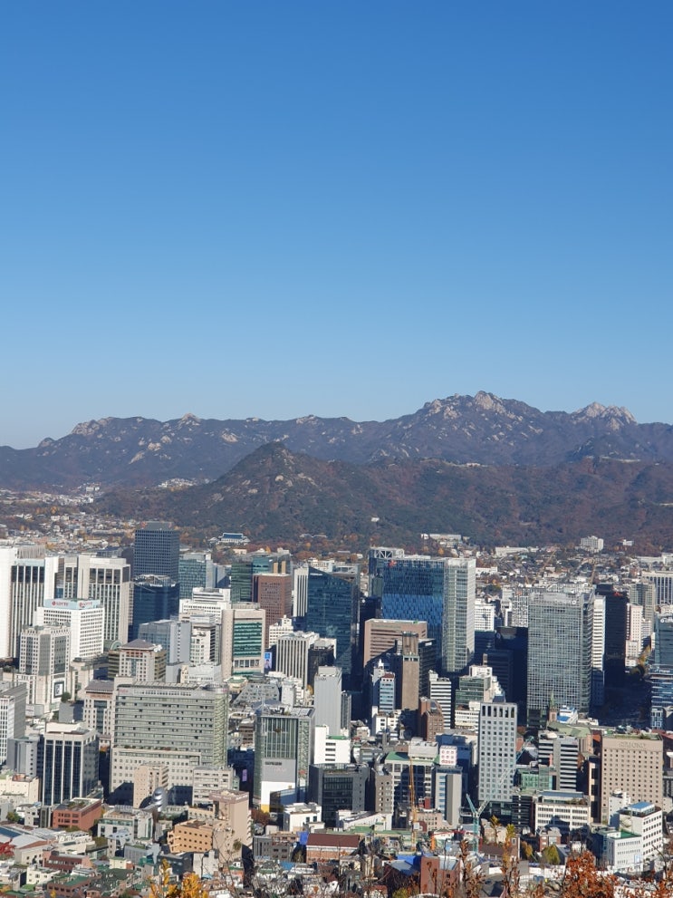  가을 남산 다녀와서 쓰는 그냥 일상