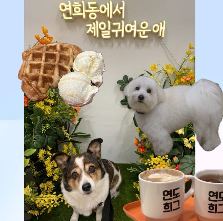 사진 3