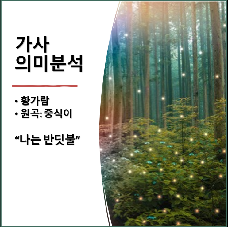 황가람 '나는 반딧불' (원곡 중식이) 가사 분석