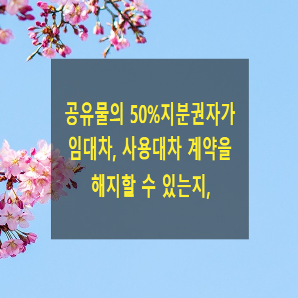  공유물의 50% 지분권자가 임대차, 사용대차 계약을 해지할 수 있는지, 해결방법(사용대차, 공유관계, 공유물분할)