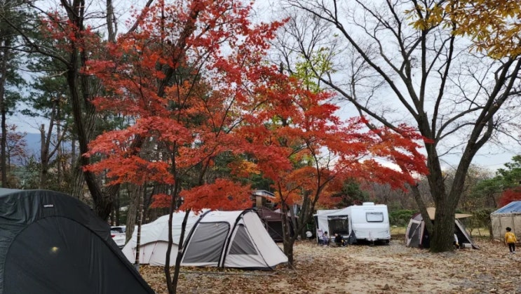  남양주키즈캠핑장 수동시온캠프
