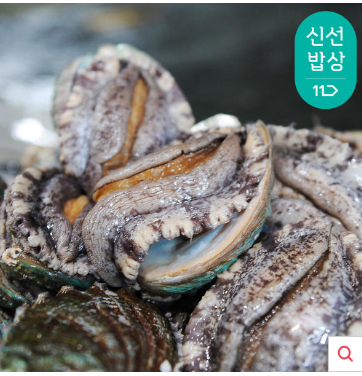  완도 참 전복 활전복 12~13미 1kg 내외 (산소포장)