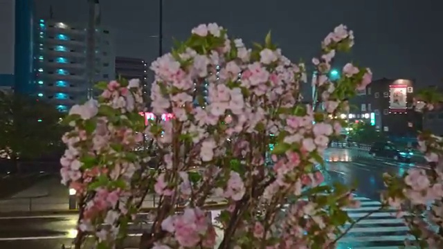  병원코디네이터주말반 , 병원코디네이터 자격증 합격한 팁 핵심 정보