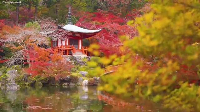  부산디지털배움터 , 디지털튜터 자격증 2주 만에 합격한 전략 체크해보세요