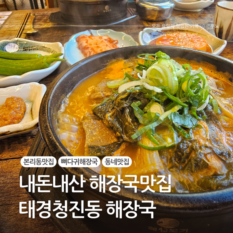  대구 본리동 뼈다귀해장국 뼈짐 단골맛집:: 태경청진동해장국