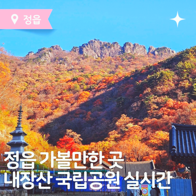  실시간 내장산 단풍놀이 내장산국립공원 가을단풍명소 탐방