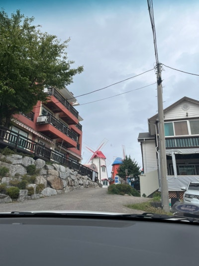 사진 3