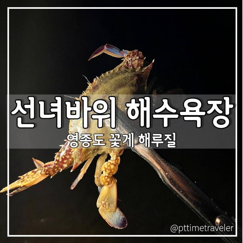 인천 영종도 선녀바위 해수욕장 야간 해루질 갯벌체험 꽃게
