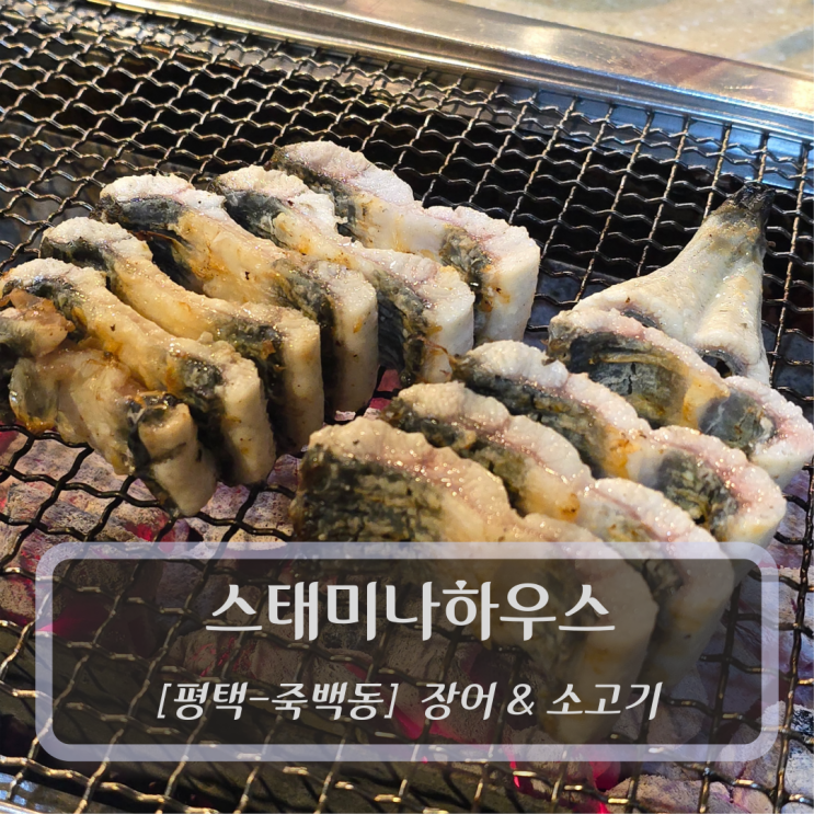  [평택-죽백동, 장어-소고기] 스태미나하우스 - 평택회식 추천