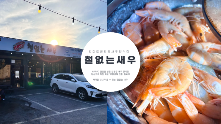  인천 강화도 왕새우 소금구이 맛집 철없는 새우 반려동물 동반 가능 사계절 내내 즐기는 왕새우 소금 구이