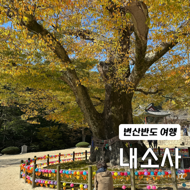  변산반도 가볼만한 곳 격포해수욕장 내소사 귤까네농원