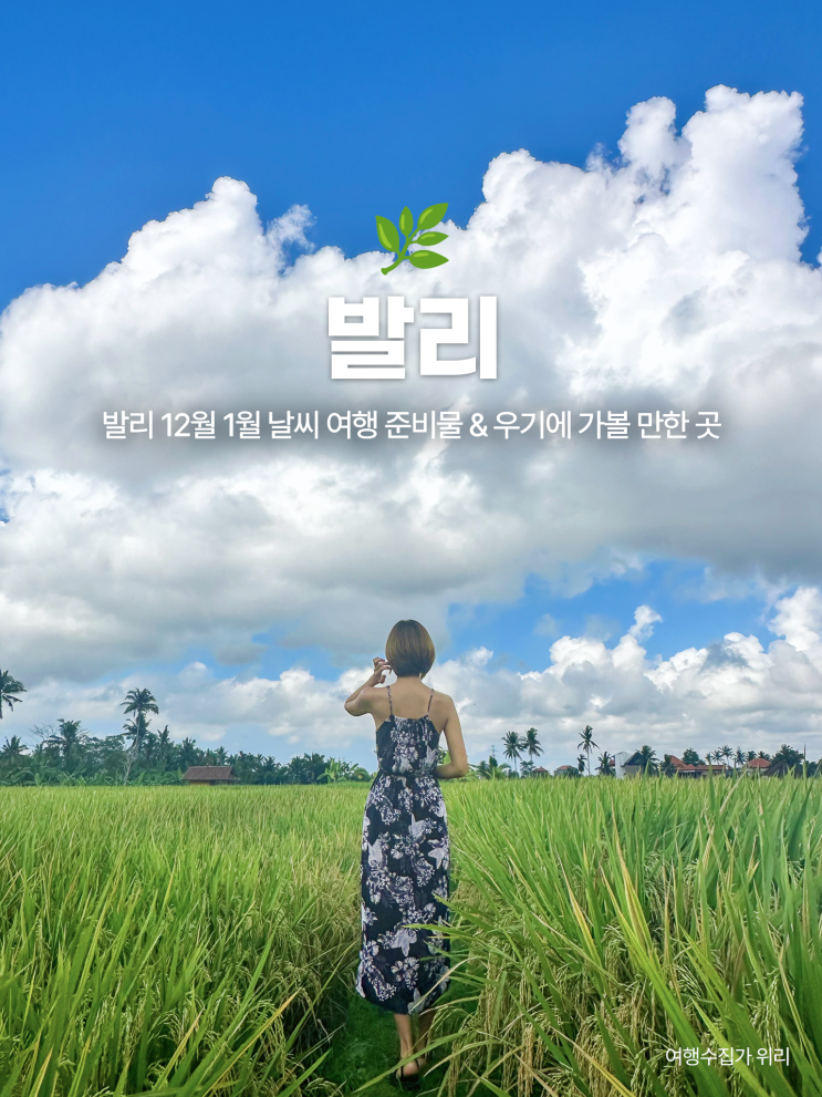  발리 12월 1월 날씨 여행 준비물 & 우기에 가볼 만한 곳