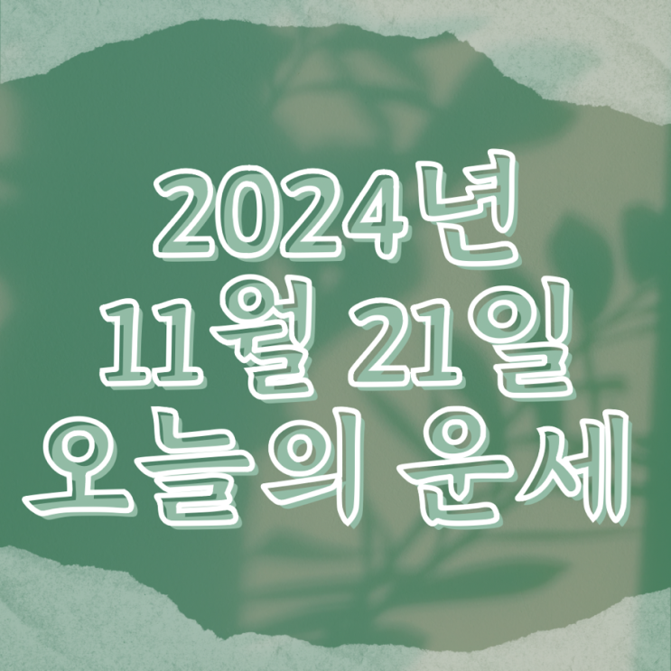  2024년 11월 21일 운세 오늘의운세 띠별운세