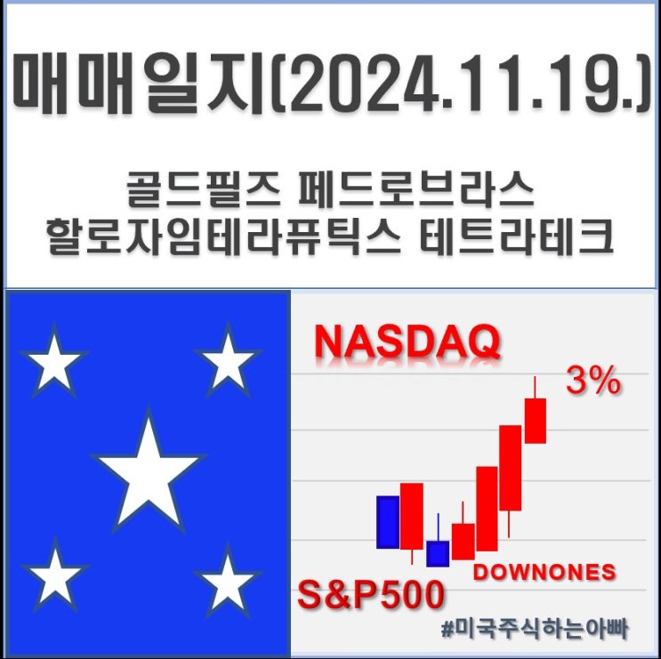 매매일지(2024.11.19.화) 골드필즈 페드로브라스 할로자임테라퓨틱스 테트라테크