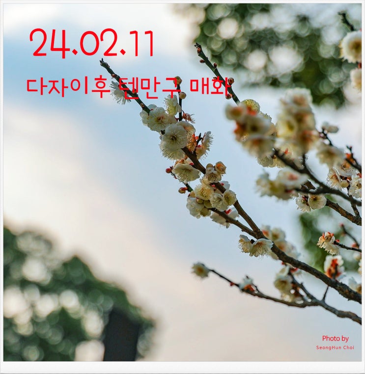  240211 다자이후 텐만구 매화/RF24-105mm F2.8 L Z