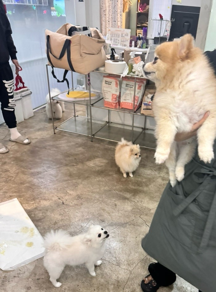 사진 3