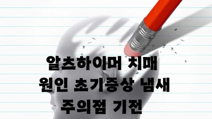  알츠하이머 치매 원인 주의점 기전 초기증상 냄새