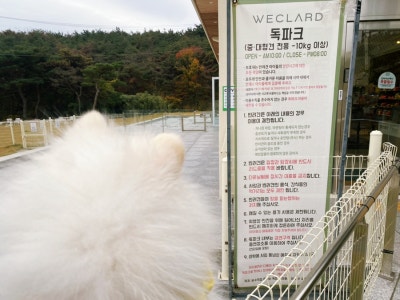 사진 5